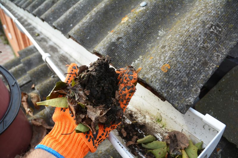 Clogged Gutter Clearing in Baltimore, MD