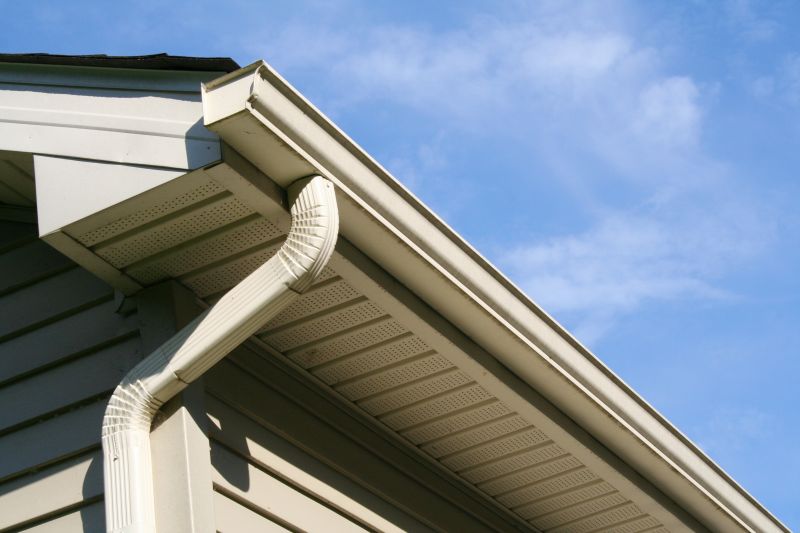 Downspout Snaking in Longmont, CO