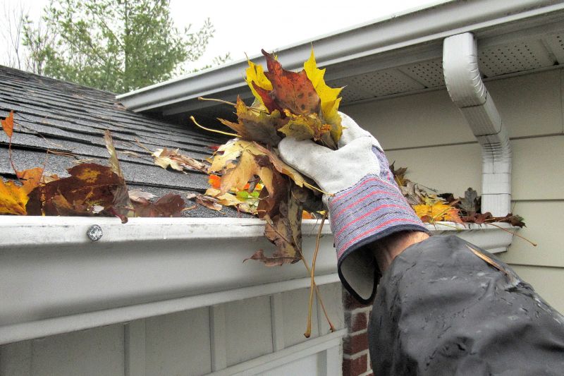 Roof Gutter Cleaning in Boulder, CO